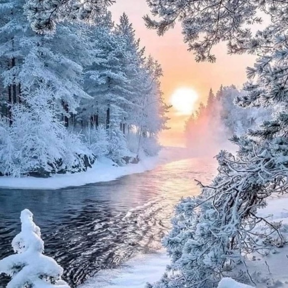 Come Sip Coffee & Shop with Me Live From Alaska!! - Picture 4 of 5